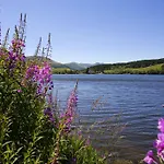 Les Mimosas Appartement Le Mont-Dore