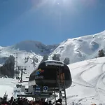 Les Mimosas *