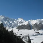 Les Mimosas *