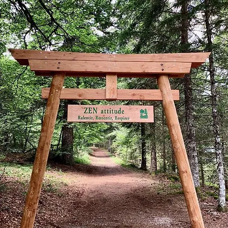 Les Mimosas Apartman Le Mont-Dore