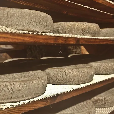 Apartman Les Mimosas