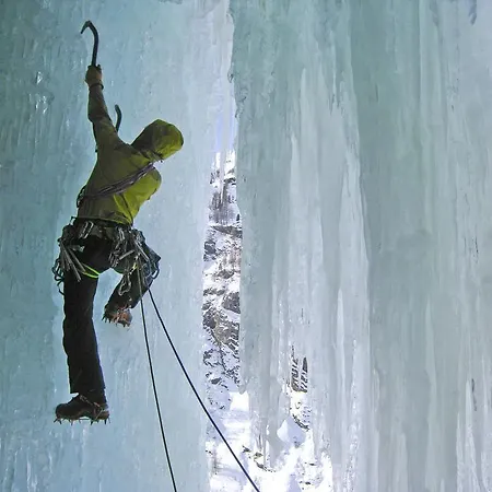 Appartamento Les Mimosas *