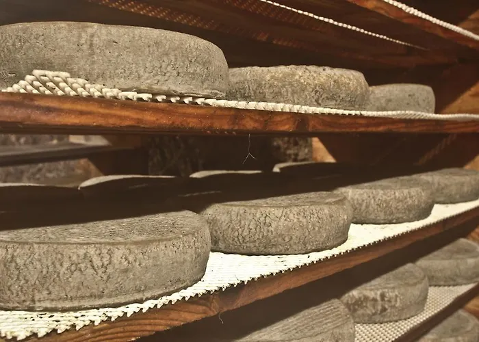 Appartement Les Mimosas